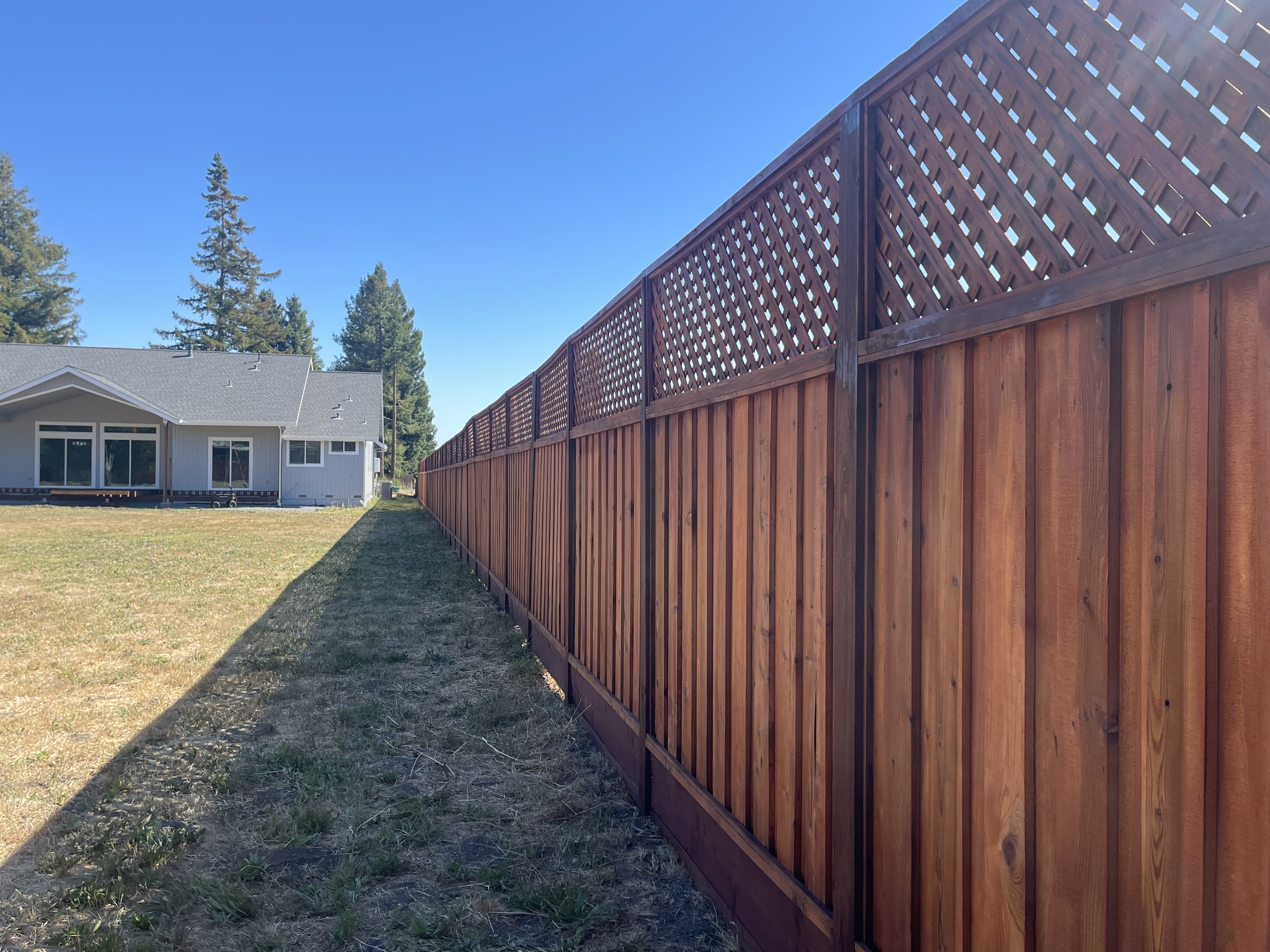 Gallery photo 157